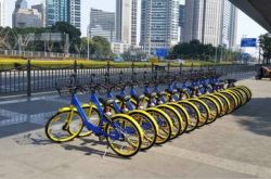 （4分钟教程）乌兰察布市市工厂招聘信息_哔哩哔哩